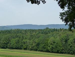 unser Wald